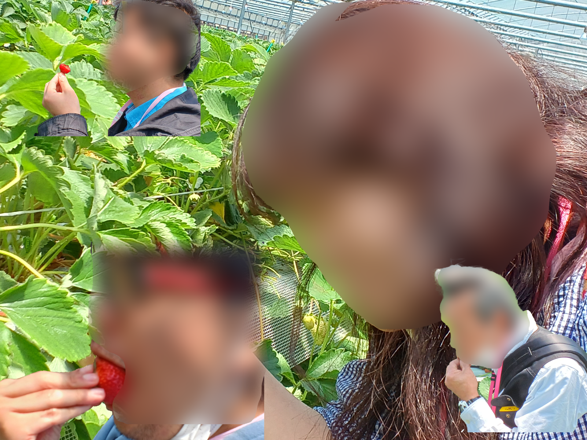 9a6cf3045d66af126c6c22b3f7ebbeb4-1745797522.png