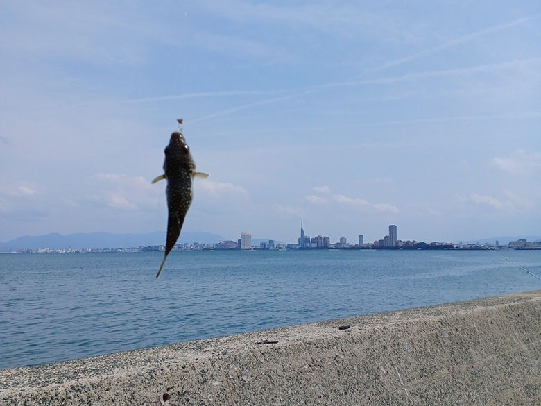 春潮、能古島にて。