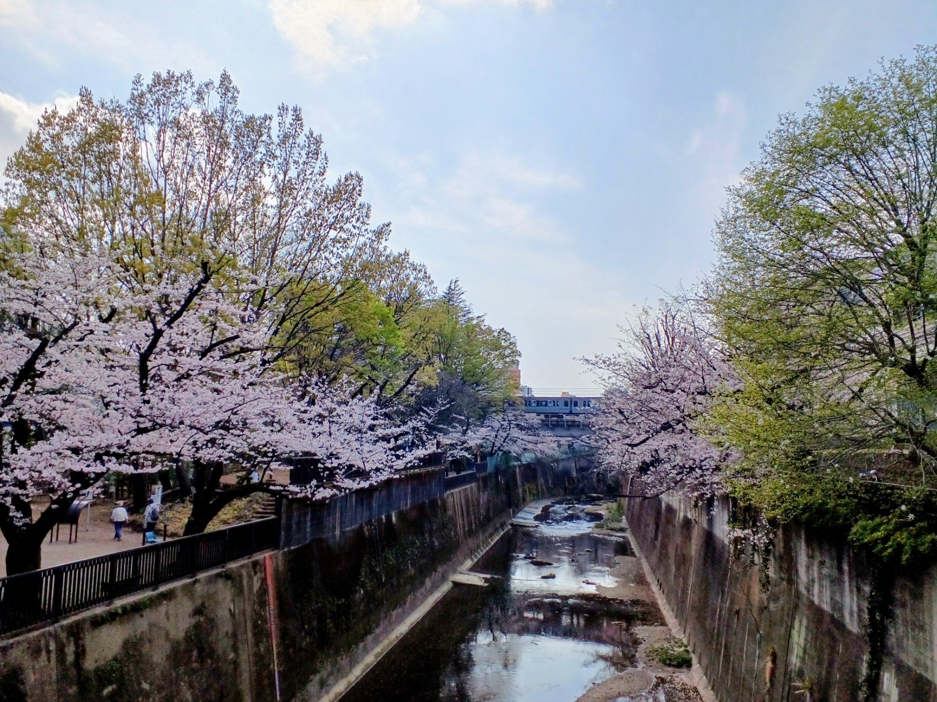 オ’ハナ３月の様子をお伝えします