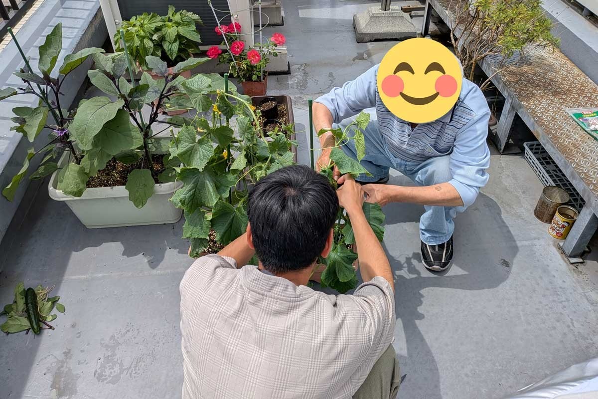 【写真10枚】みのわマック、屋上などで「畑プログラム」野菜収穫