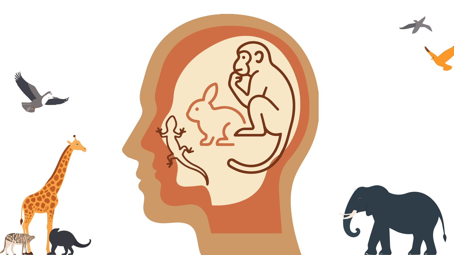 【コラム】脳の中で「3つの動物」が暴れている？ ギャンブル依存症の起きる仕組み
